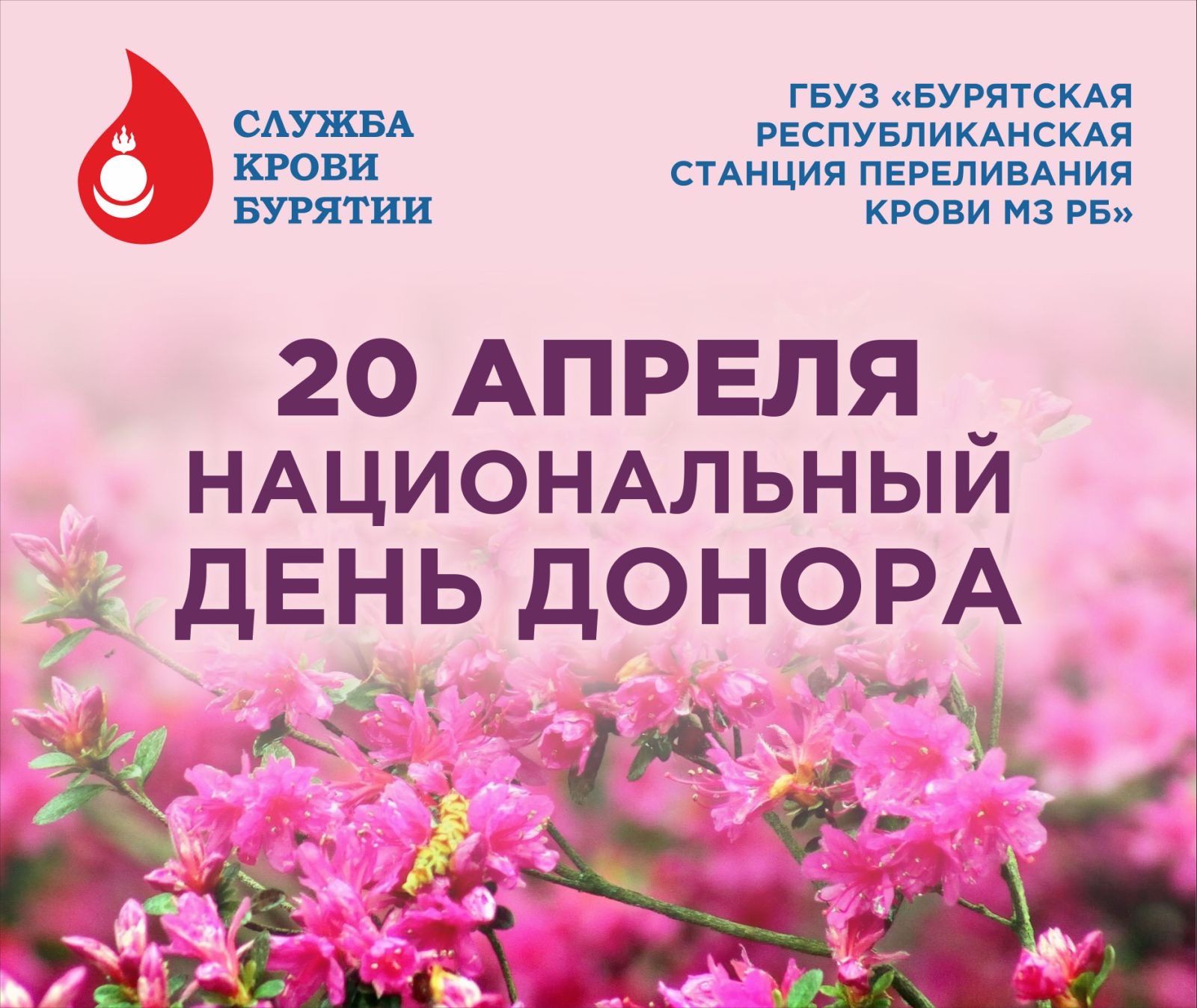С 14 апреля по 20 апреля 2025 года будет проводиться Неделя популяризации донорства крови и костного мозга (в честь Дня донора в России 20 апреля)..